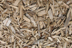 biomass boilers Rowledge